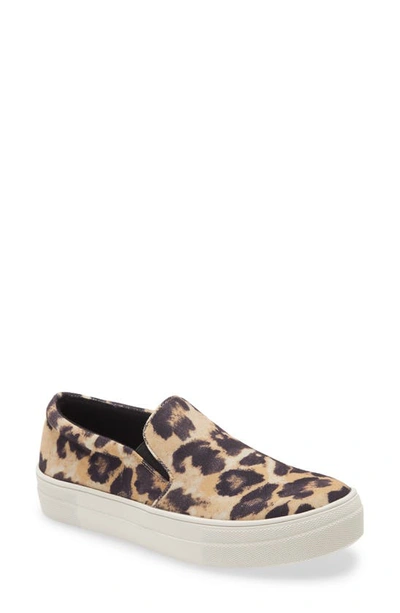 Shop Steve Madden Gills Platform Slip-on Sneaker In Leopard Canvas