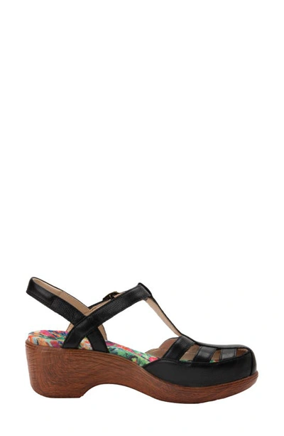 Shop Alegria Clog Sandal In Black Leather