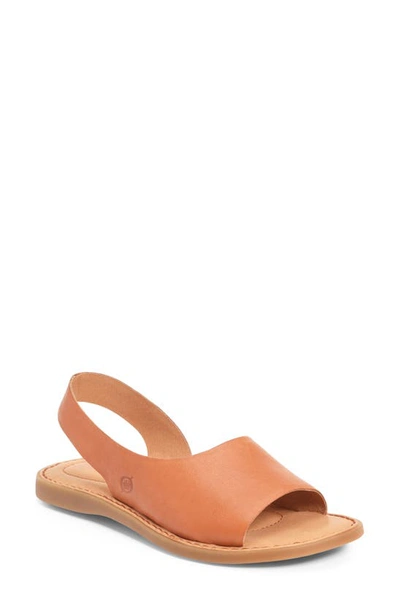 Shop Born Inlet Sandal In Tan Leather