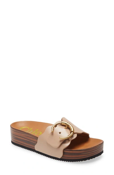 Shop Chloé Lauren Logo Buckle Platform Slide Sandal In Soft Tan