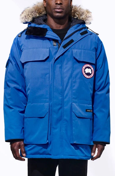 Shop Canada Goose Pbi Expedition Down Parka With Genuine Coyote Fur Trim In Royal Pbi Blue