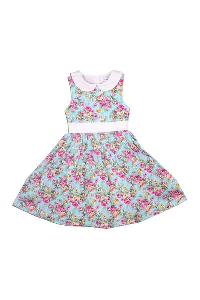 Shop Joe-ella Kids' Emma Collared Floral Dress In Blue