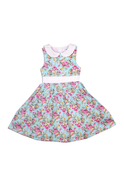 Joe-ella Little Girl's Floral-print Cotton Dress In Blue