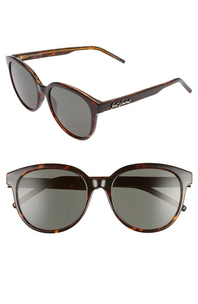 Shop Saint Laurent 55mm Sunglasses In Shiny Dark Havana/ Grey