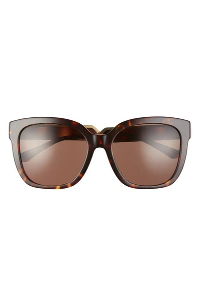 Shop Tory Burch 56mm Square Sunglasses In Dark Tortoise/ Dark Brown