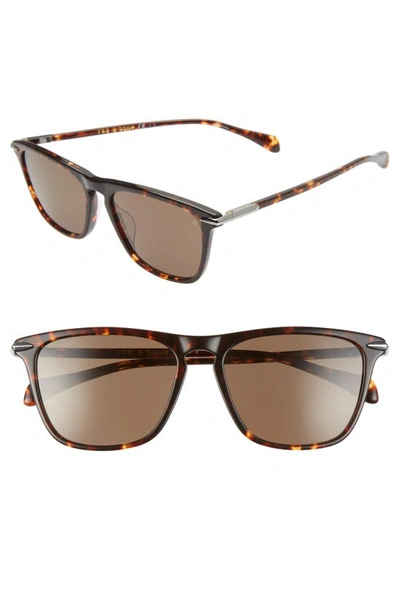 Shop Rag & Bone 55mm Sunglasses In Dark Havana/ Brown
