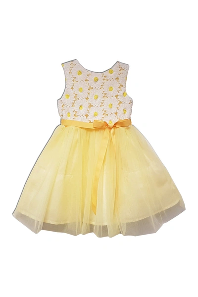 Joe-ella Sunny Embroidered Tulle Dress In Yellow