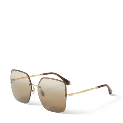 Shop Jimmy Choo Tavi In Eha Brown Shaded