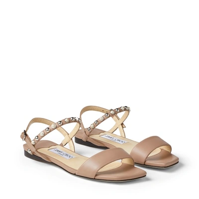 Shop Jimmy Choo Aadra Flat In Ballet Pink/silver/white