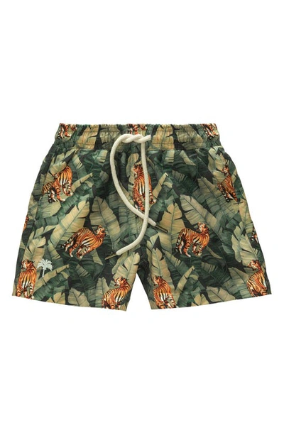 Shop Oas Swim Kids' Roar Print Swim Shorts In Green