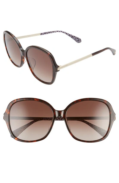 Shop Kate Spade Kaiya 57mm Sunglasses In Dark Havana/ Brown