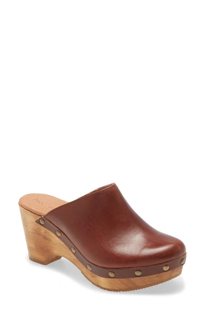 Cordani Zorba Clog In Old Cognac Leather