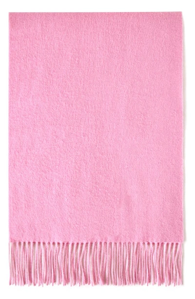 Shop Mulberry Solid Wool Scarf In J146 Candy Pink