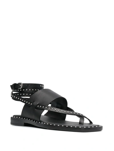 Shop Ash Medusa Studded Leather Sandals In Black