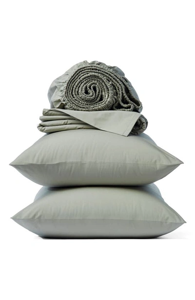 Shop Coyuchi Set Of 2 300 Thread Count Organic Cotton Pillowcases In Laurel