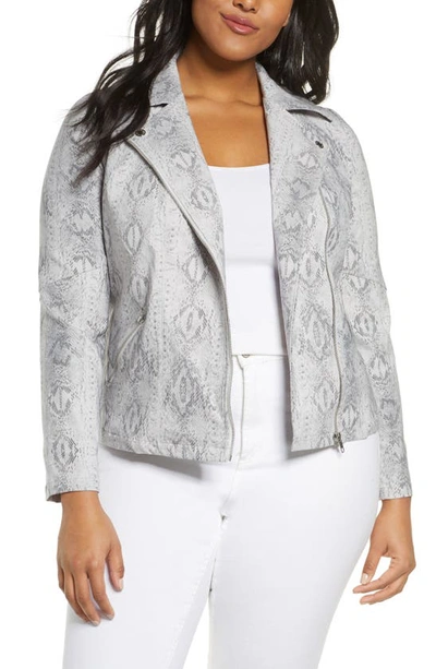 Shop Adyson Parker Animal Print Moto Jacket In Grey Combo