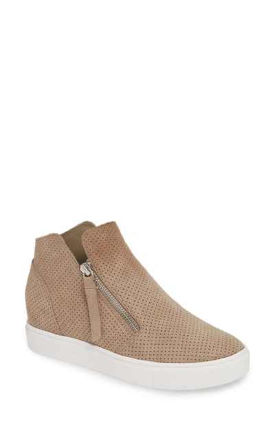 Shop Steve Madden Caliber High Top Sneaker In Taupe Suede