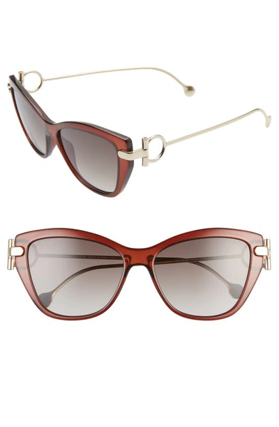 Shop Ferragamo 55mm Cat Eye Sunglasses In Brown