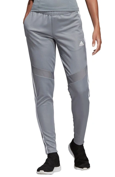 Shop Adidas Originals Tiro 19 Training Pants In Grey/ White