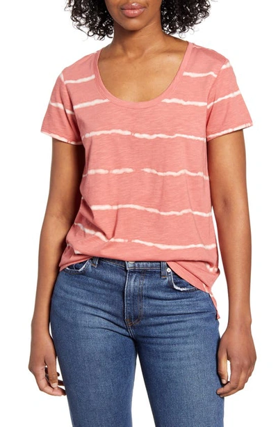 Shop Vince Camuto Linear Whispers Cotton Blend T-shirt In Tuberose