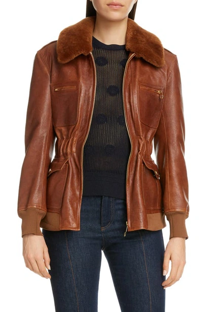 Shop Chloé Lambskin Leather Jacket With Genuine Shearling Trim In Sharp Brown