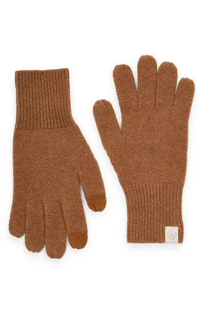 Shop Rag & Bone Ace Cashmere Gloves In Camel
