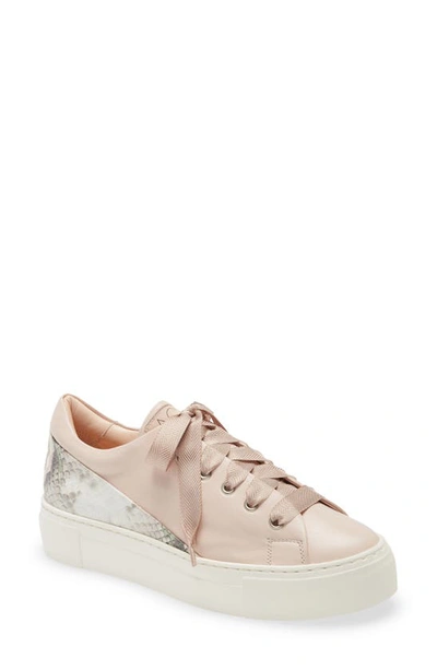 Shop Agl Attilio Giusti Leombruni Cap Back Platform Sneaker In Penny With Tropy Penny