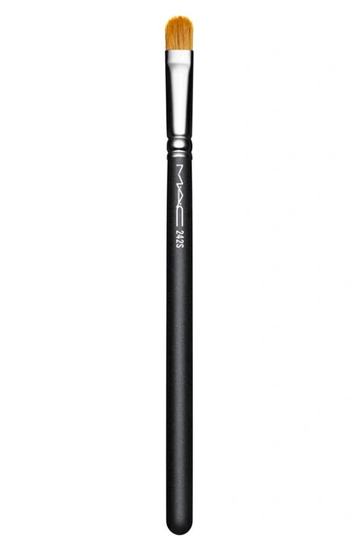 Shop Mac Cosmetics Mac 242s Synthetic Shader Brush