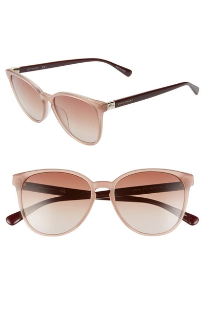 Shop Longchamp Le Pliage 53mm Gradient Cat Eye Sunglasses In Nude Burgundy/ Grey