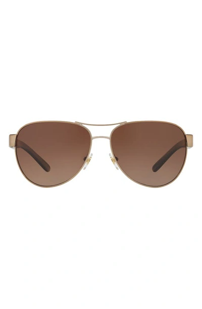 Shop Tory Burch 60mm Polarized Aviator Sunglasses In Light Gold/ Olive Horn/ Brown