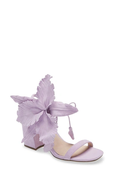 Shop Cecelia New York Hibiscus Sandal In Lilac Suede