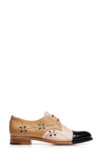 Shop The Office Of Angela Scott Mr. Ava Perforated Spectator Derby In Neapolitan