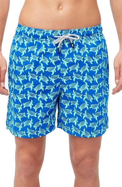Shop Tom & Teddy Turtle Print Swim Trunks In Blue And Ice Green