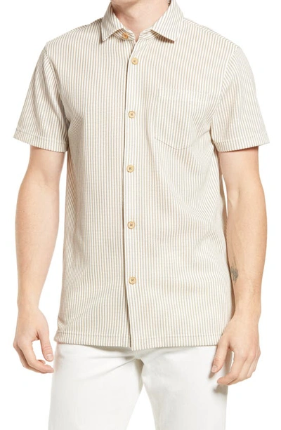 Shop Ted Baker Ramenn Stripe Short Sleeve Button-up Shirt In Grey