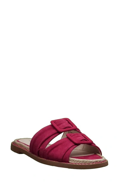 Shop T Tahari Tahari Calandra Slide Sandal In Rosewood Suede