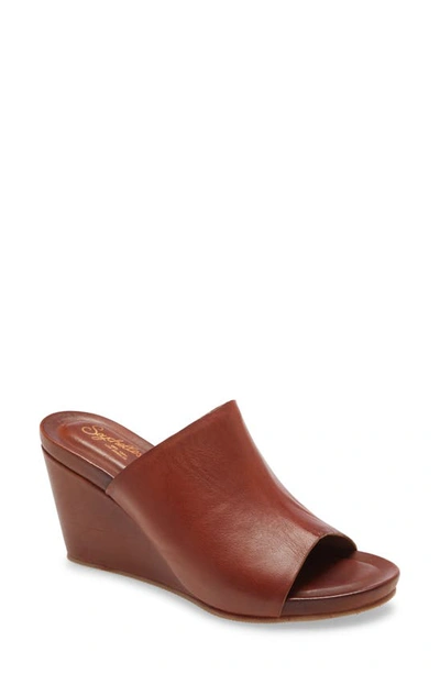 Shop Seychelles Perky Wedge Slide Sandal In Tan Leather