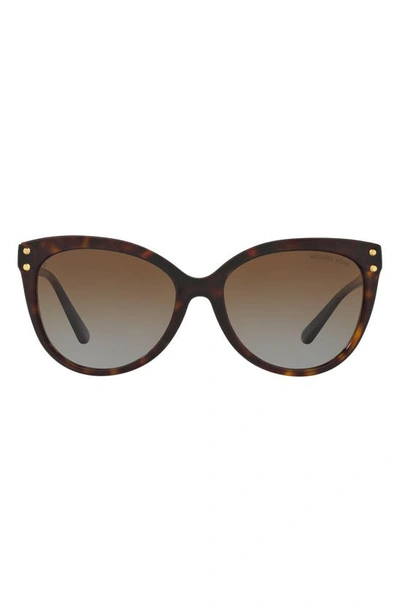 Shop Michael Kors 55mm Gradient Polarized Cat Eye Sunglasses In Dark Tortoise/ Brown Gradient