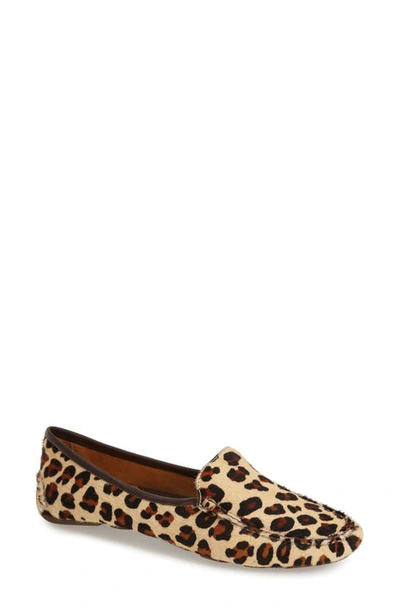 Shop Patricia Green 'jillian' Loafer In Leopard Calf Hair
