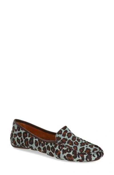 Shop Patricia Green 'jillian' Loafer In Teal Blue Leopard Calf Hair