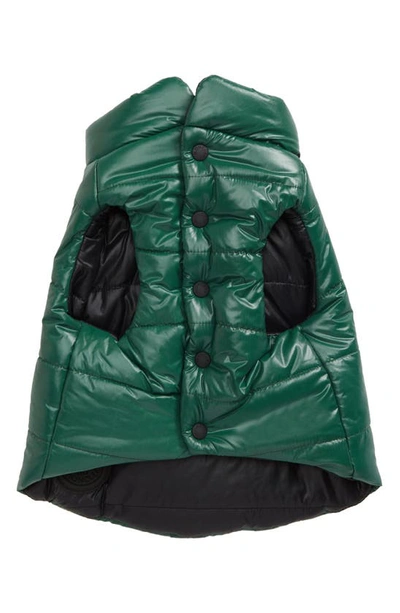 Shop Moncler Genius Moncler Poldo Giubbotto Reversible Dog Puffer Jacket In Dark Olive