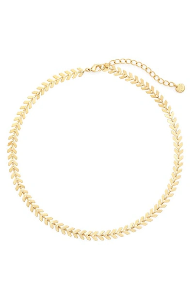 Shop Brook & York Brook And York Brynn Choker Necklace In Gold
