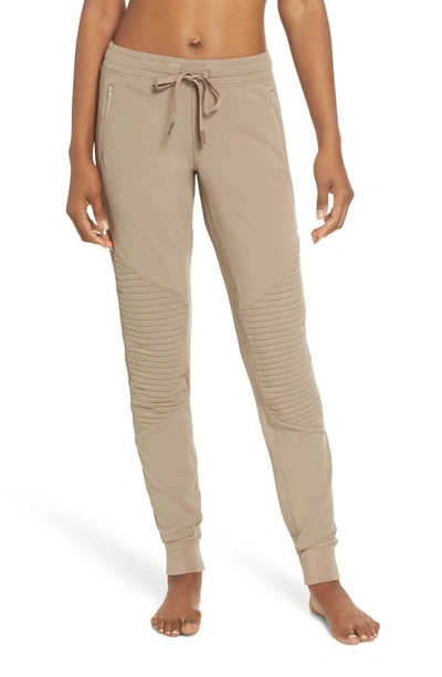 Shop Alo Yoga Joggers In Gravel