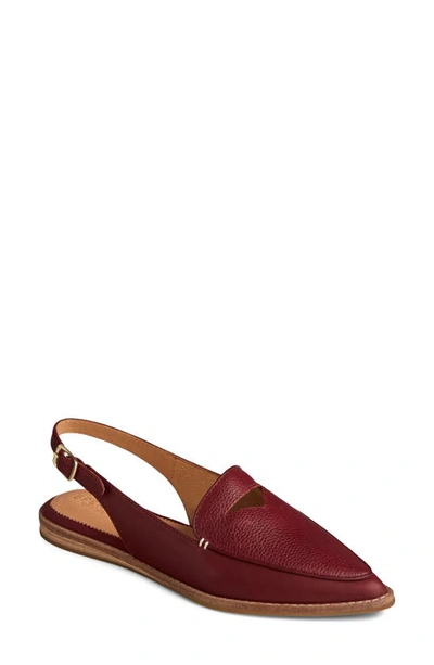 Shop Sperry Saybrook Slingback Mule In Cordovan Tumbled Leather
