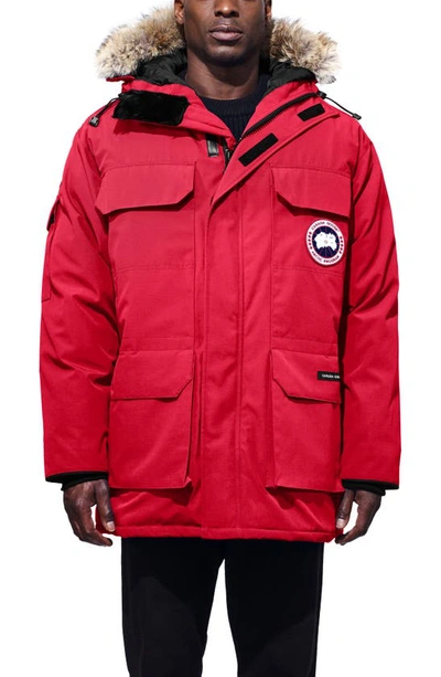 Shop Canada Goose Expedition Down Parka With Genuine Coyote Fur Trim In Red