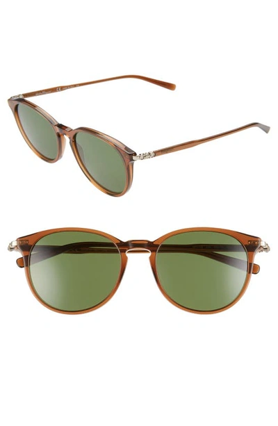 Shop Ferragamo Capsule 54mm Round Sunglasses In Brown