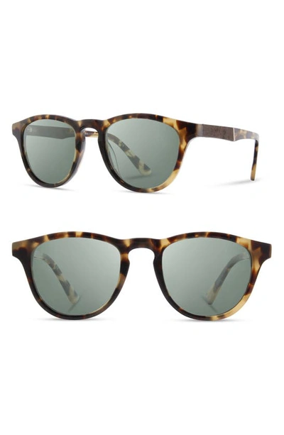 Shop Shwood 'francis' 49mm Sunglasses In Havana/ Elm Burl