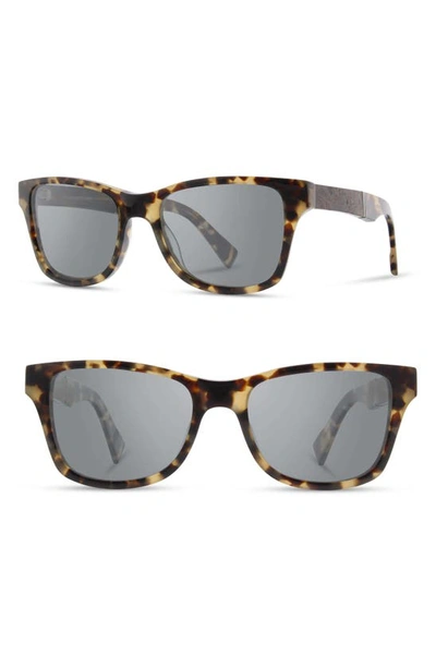 Shop Shwood 'canby' 53mm Polarized Sunglasses In Havana/ Elm Burl/ Grey