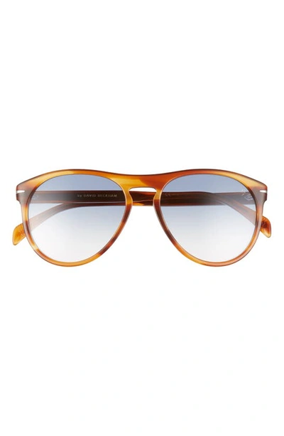 Shop David Beckham Eyewear By  Db1008/s 55mm Round Keyhole Sunglasses In Brown Horn/ Blue