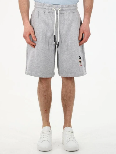 Shop Palm Angels Gray Pirate Bear Shorts In Grey
