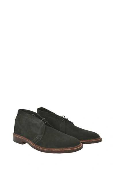 Shop Alden Shoe Company Alden Unlined Chukka Boot In Black Suede